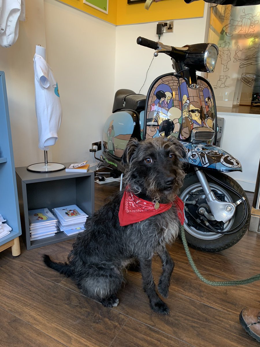 knowmadiqx2x's tweet photo. #Dogfriendly sheffield @tampercoffee @PeteMcKee @Madebyjonty @SteamYard @BrewDogSheff #Sheffieldissuper https://t.co/2d8KxQO8Xg