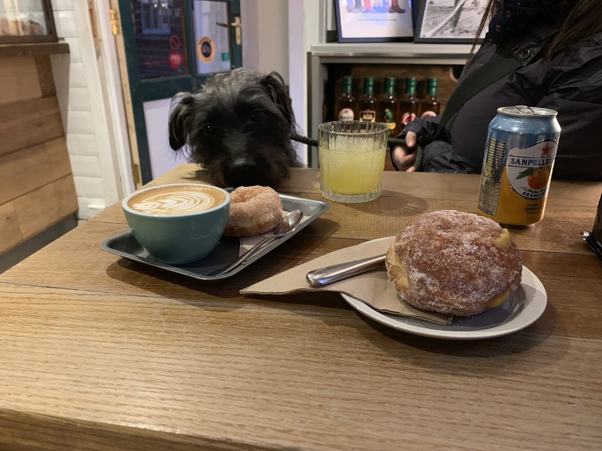 knowmadiqx2x's tweet photo. #Dogfriendly sheffield @tampercoffee @PeteMcKee @Madebyjonty @SteamYard @BrewDogSheff #Sheffieldissuper https://t.co/2d8KxQO8Xg