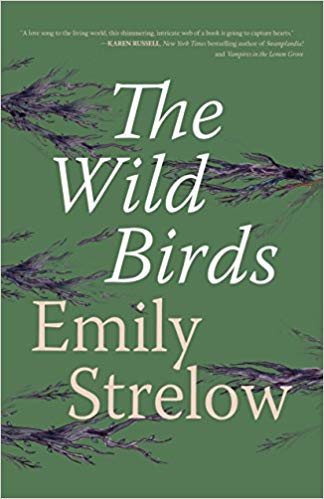 35over35's tweet photo. "The northern harrier flew higher than usual above the fence line, catching an updraft off the hillside and letting the warm air loft her into the sky." Emily Strelow, THE WILD BIRDS #35firstlines @EmilyAStrelow @rarebirdlit https://t.co/BwhFQEbrNd https://t.co/GXK8cWOJ9E