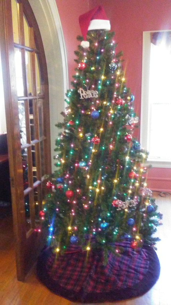 We're ready for Christmas at the CASA office!