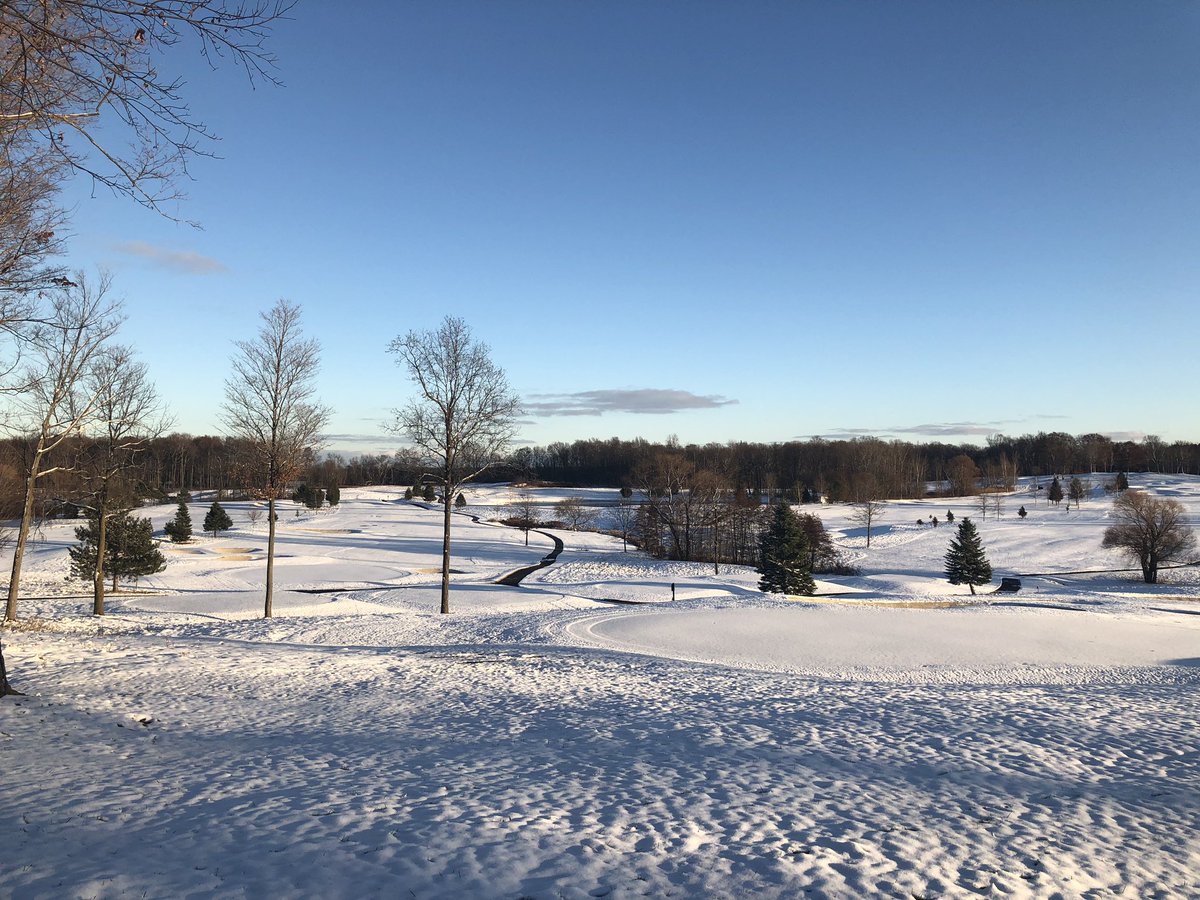 Slow greens on a snowy day (photo)