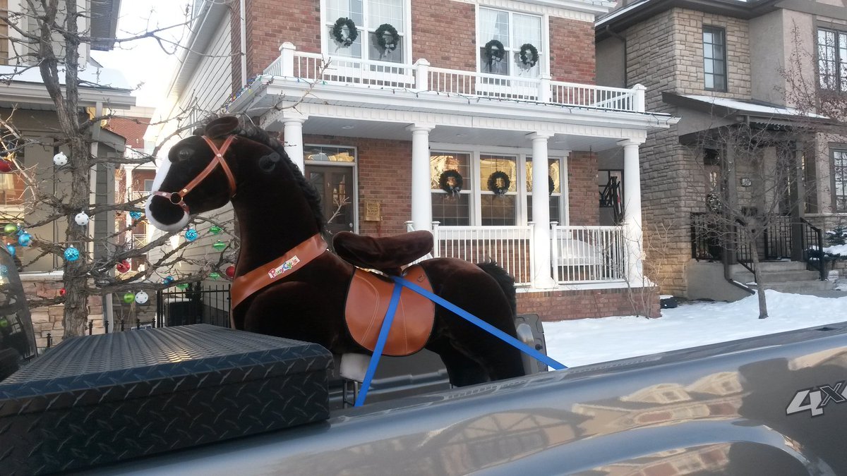 denisetsang's tweet photo. Haulin' ponies today - city style😂 https://t.co/7FlgmUqftm