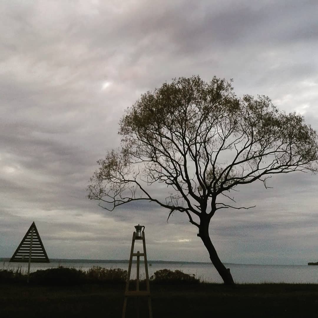 1WindowGallery's tweet photo. 🌳~ #igFilterStudy #Juno #Moka ~ 7⃣ Dec 2018 
#1WindowGallery @instagram &amp; #Mellyrn @ellohype 
https://t.co/MWiJ8p9HFG 

📷 https://t.co/sxF1XBcdj7   
#LetsGuide #Jönköping #Huskvarna #Småland #Götaland #Sweden  #1Tree #TreeArt #PhotoArt #Tree https://t.co/O8e2Oa3go4