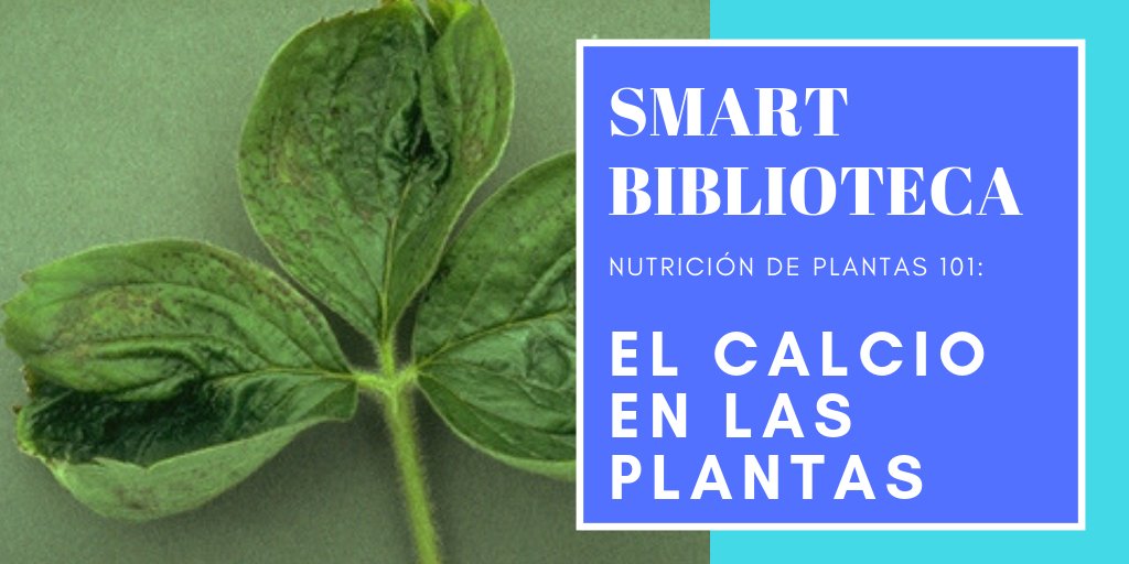 SMART Fertilizer tweet media