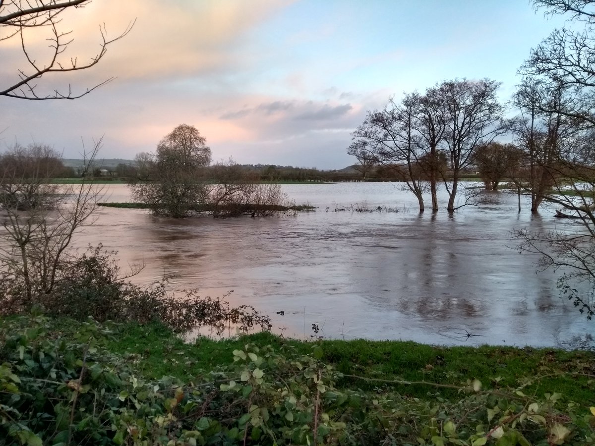KrisTheLawnMan's tweet photo. The river Exe has burst it's banks between Thorverton and Brampford Speke. #thorverton #riverexe #exevalley #flood #devonflood ๐ฒ https://t.co/DW2KaOWmpf