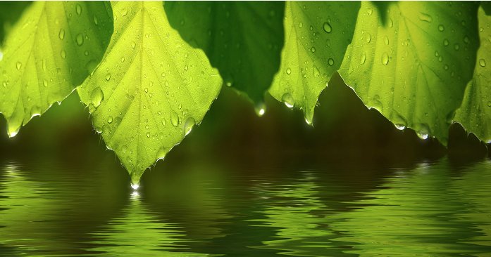 La #ricerca per i combustibili solari non è procrastinabile. #Unipd e <a href="/UniTrieste/">Università di Trieste</a>  dirigono una collaborazione internazionale per studiare la #fotosintesiartificiale.
Leggi su <a href="/IlBoLive/">Il Bo Live</a> 
#fotosintesi <a href="/NatureChemistry/">Nature Chemistry</a> bit.ly/2QbpcXn