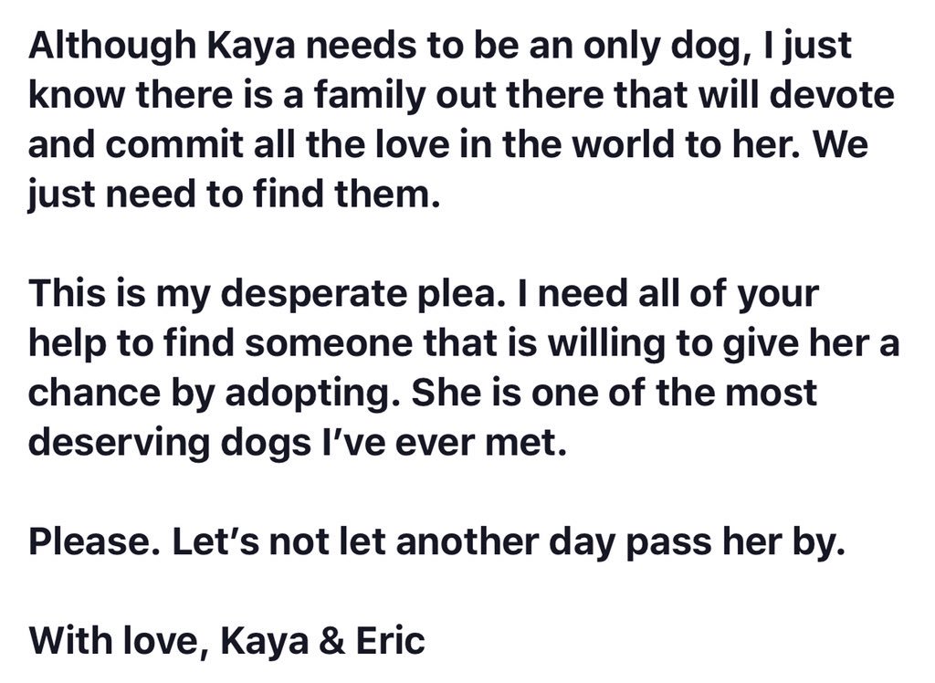 ToledoHumaneSociety tweet media