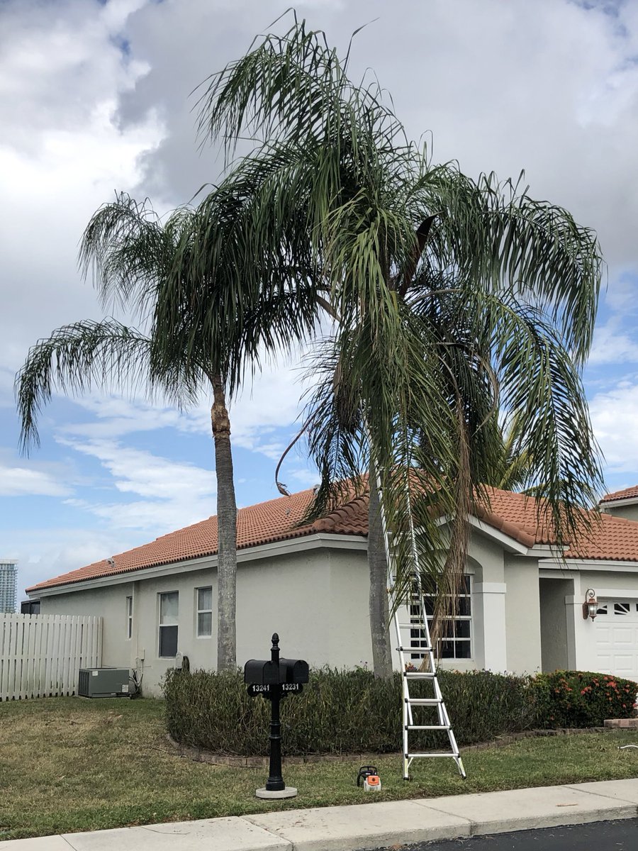 ALTreeCompany's tweet image. #ALTreeCompany