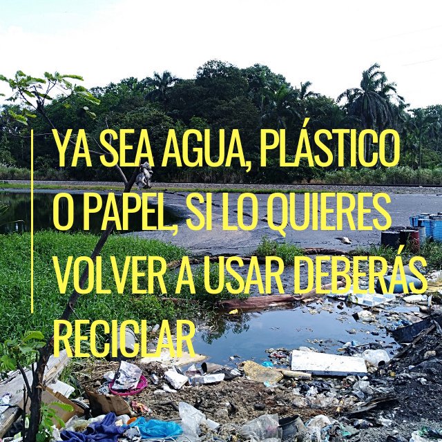 mnrp31's tweet photo. Ya sea agua, plástico o papel, si lo quieres volver a usar deberás RECICLAR. 
@mnrp31 https://t.co/McScUKSUOI