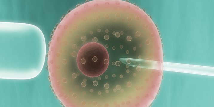 StemCellSurvive's tweet image. Do you support stem cell research? - Debating Europe j.mp/2BWkqEt