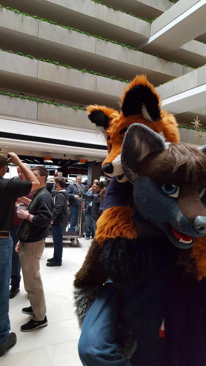 Angus FOXtober Cormac tweet media