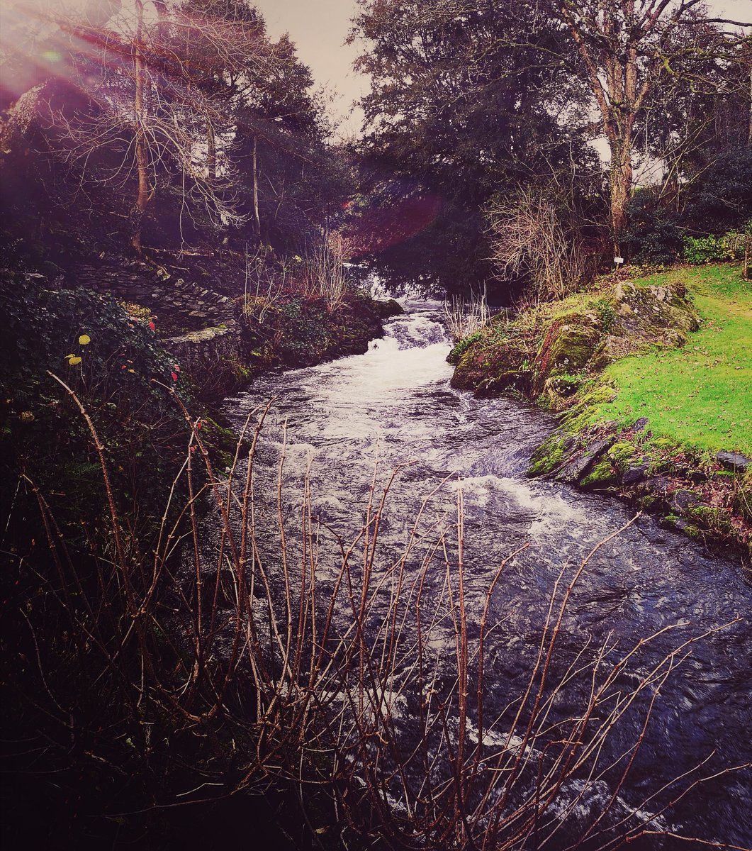 fotoChr1is's tweet photo. The view from #Bridgecottage #lakedistrict #RiverGilpin https://t.co/zbVRUrTlWq