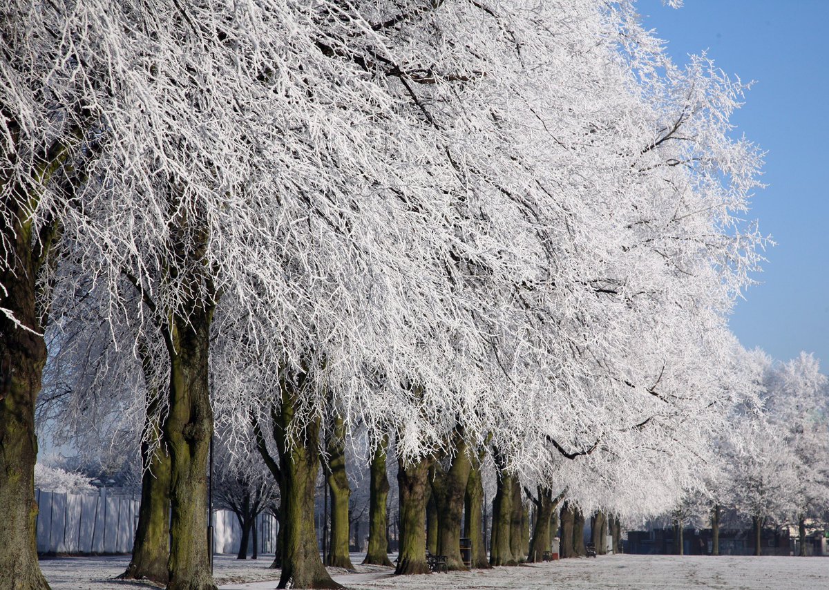 8 years ago this is what our campus looked like. #hoarfrost #universityofleicester