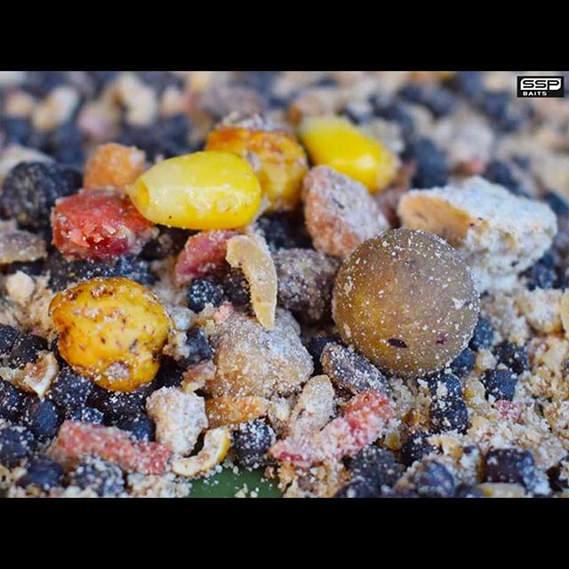 SSP Baits tweet media