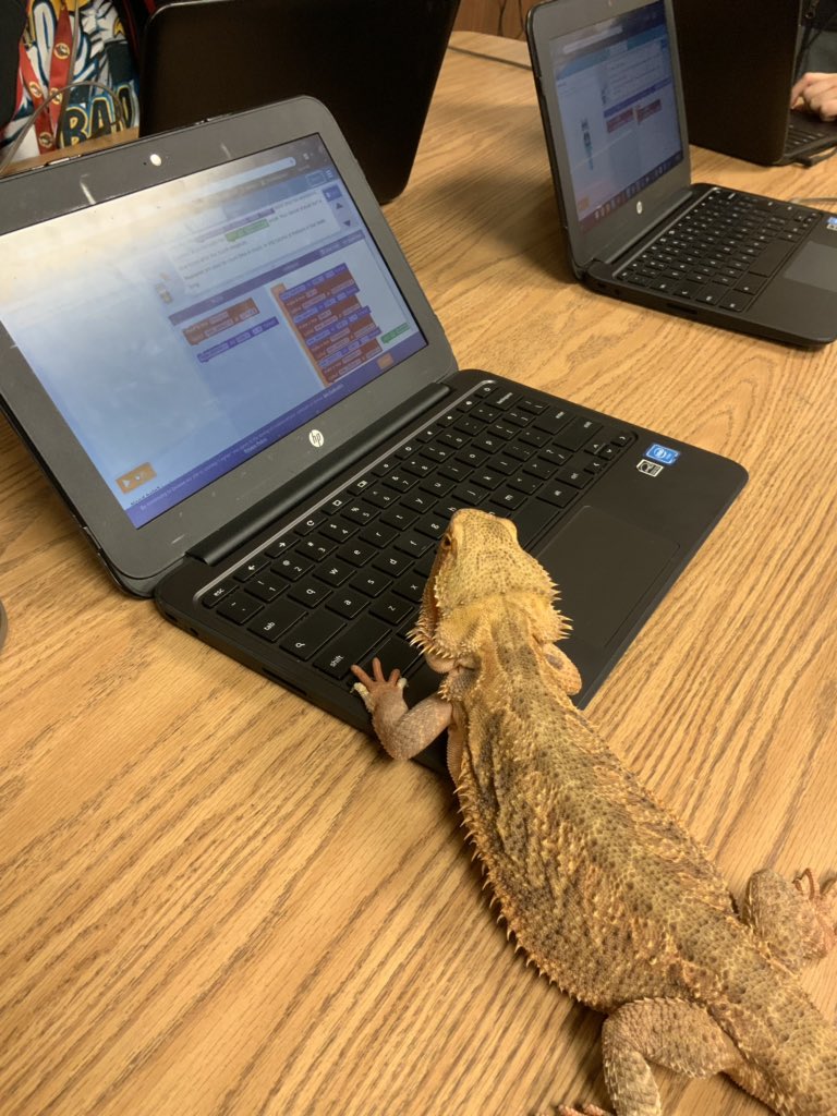 hey_itswoods's tweet image. Lizzie Pickles getting in on the coding with our science students. She likes how it helps her understand cause and effect. #cfbcodes #whycode