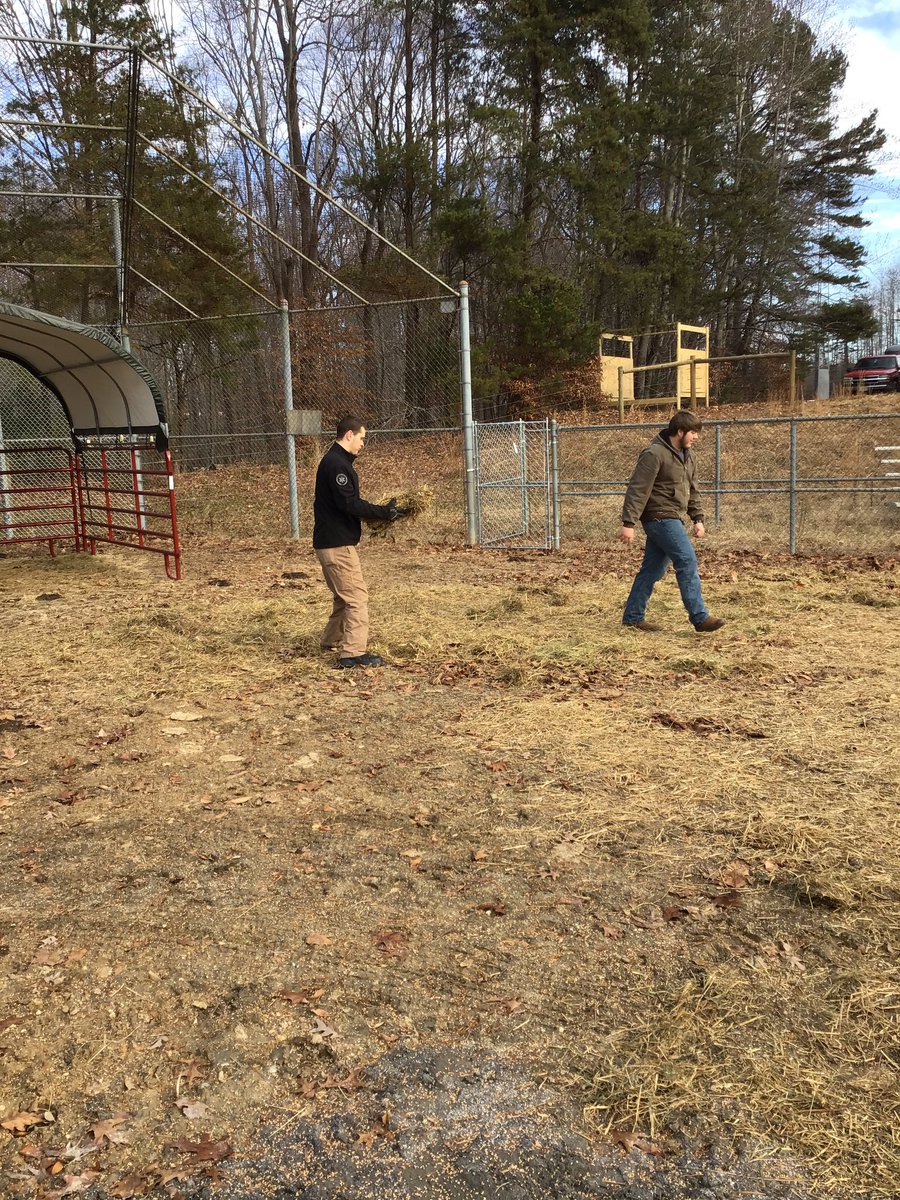 HcpsLearning's tweet photo. Busy day preparing at Career Academy! Students loading animals and seeding the field in advance of the storm. #CA #HCPSLearning https://t.co/Kn6LpLBaE6