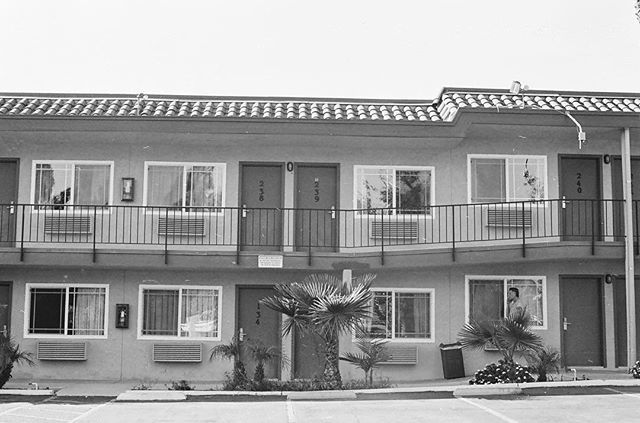 jerwaters's tweet image. 🚪🌴🚪motel
#olympusom2n #shootfilm #ilford #ilfordhp5 #50mm #filmisnotdead ift.tt/2EiW8qw