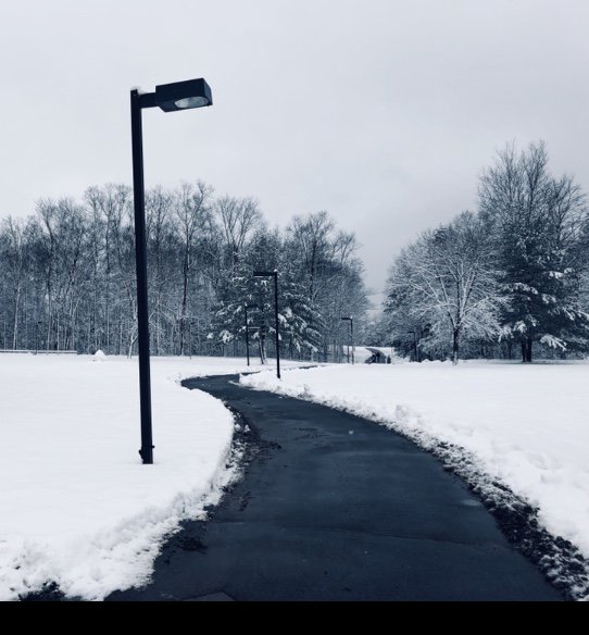 Congrats to Alexandra Gostev for winning Pictures of Poly this week! Take a look at the beautiful winter photo. #PicturesofPoly