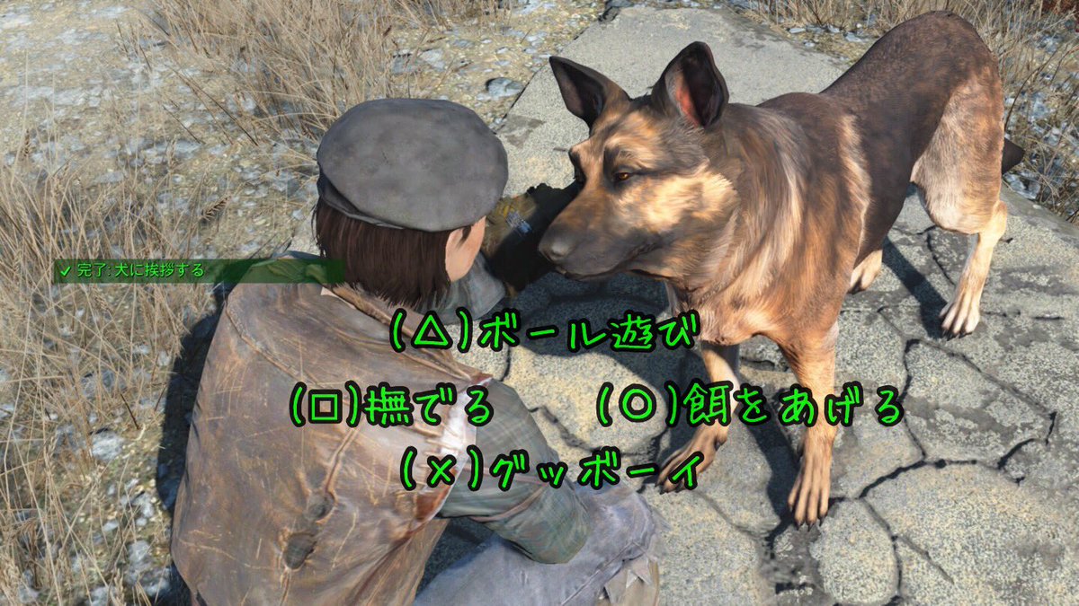 ちょろ A Twitter ドッグミートを慈しむ者達に標準実装されている 脳内コマンド Fallout Fallout4