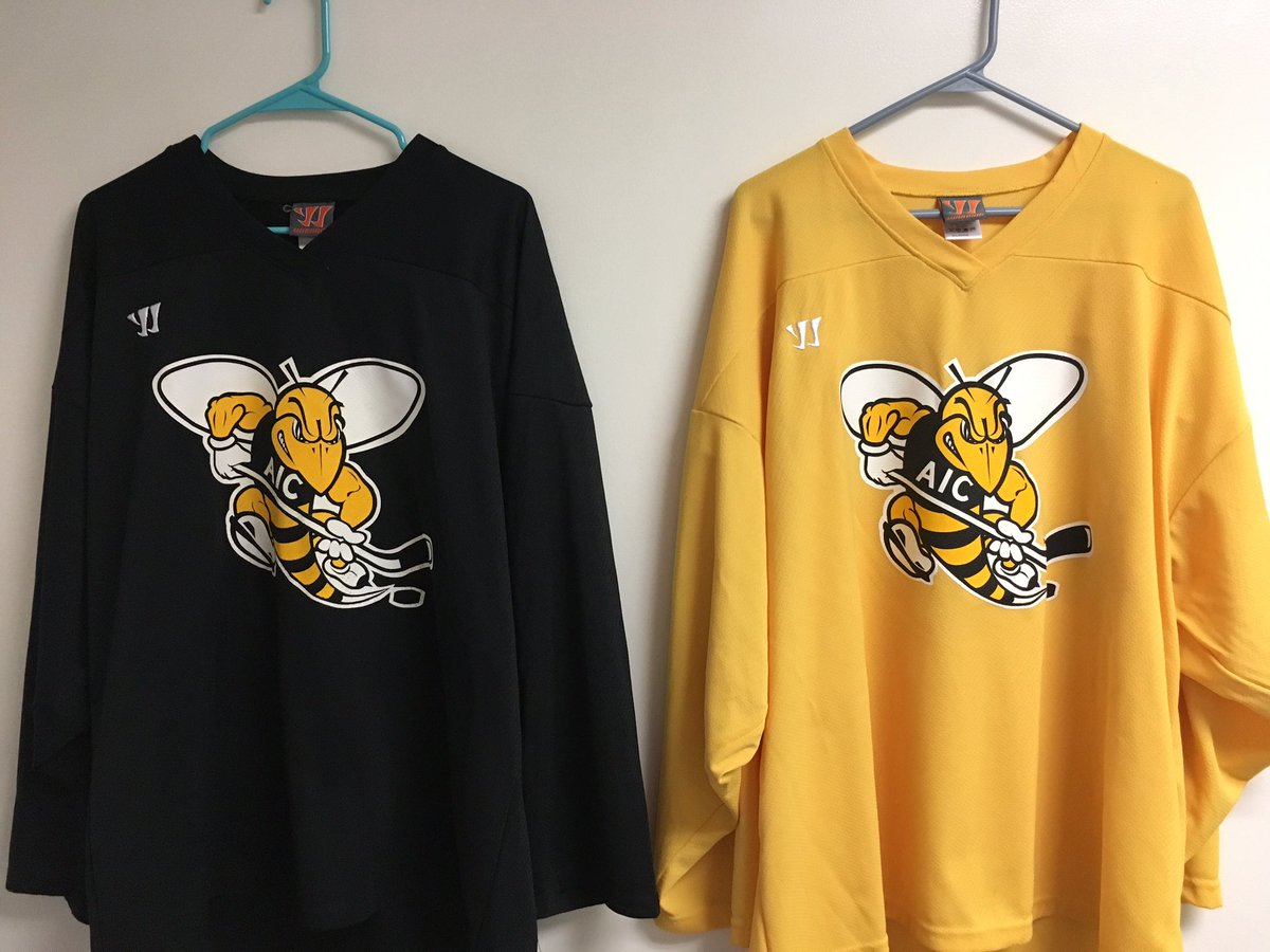 AIC_Hockey tweet picture