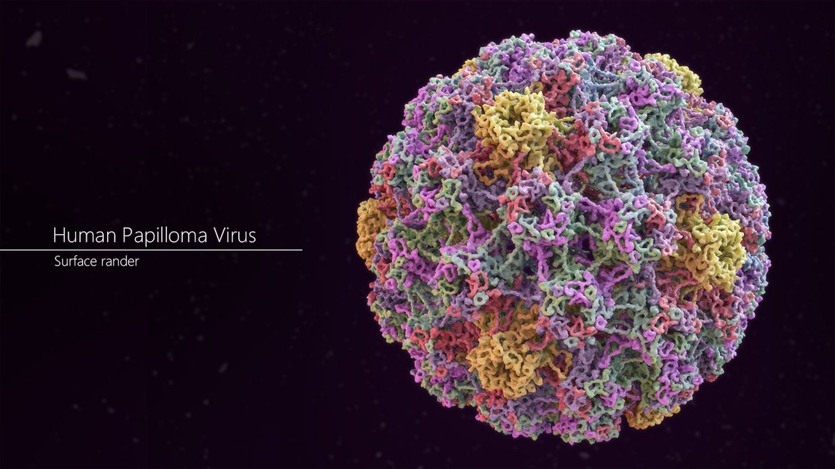 YabusakaLoon's tweet photo. Human Papilloma Virus Capsid (PDB : 3J6R)
Scene built with #Maya, rendered with #Arnold_Renderer

3D model is available on Turbosquid!
https://t.co/Q2J6g00HmE

#MedArt #SciArt https://t.co/wV6zt8LaSo