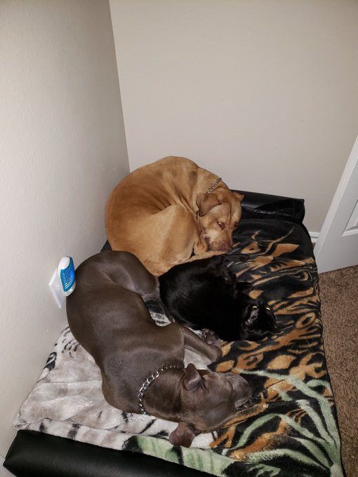 Such a strange trio lol https://t.co/PU5B5YmvIc