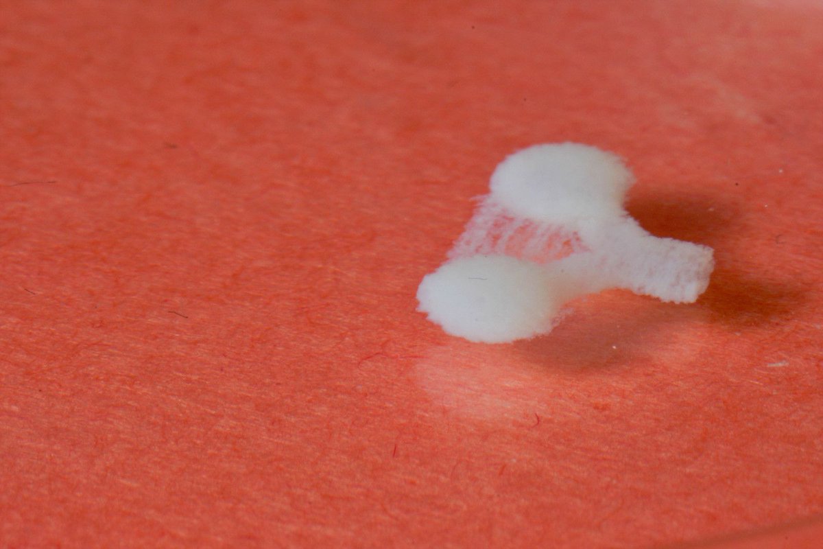 Is your scientific team stretched? Collaborate with our #bioprinting experts to ease the workload! Start your on-demand bioprinting and #scaffold prototyping services to your laboratory today: buff.ly/2RDbTvj