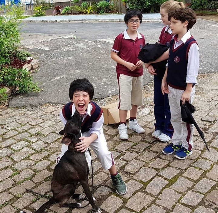 GEMEOG's tweet photo. Com eles é só bagunça e muita diversão 😜 https://t.co/4JJBfIjPFG