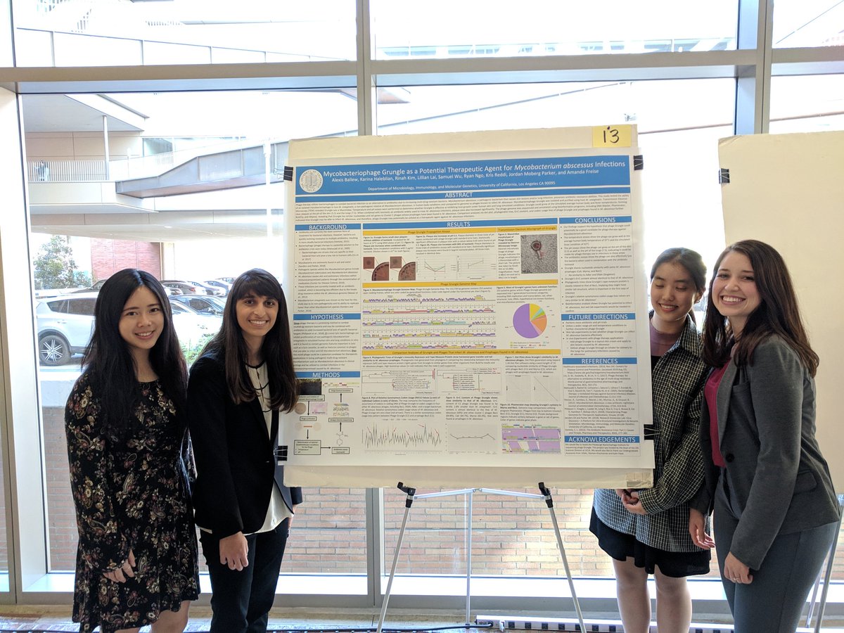 More awesome #phage research projects by #mimg103l students for #MIMGPosters Day! #SEAPHAGES