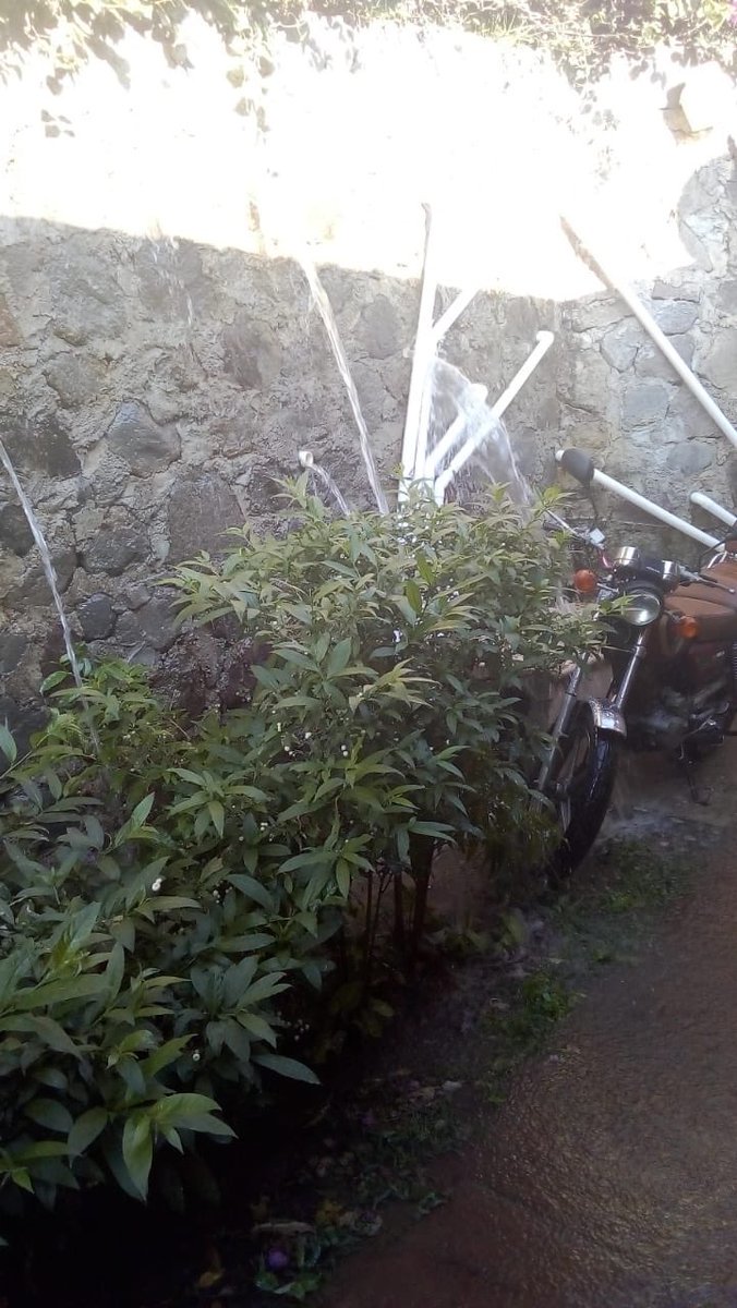 QuePocaMadre_Mx's tweet photo. De nuestro inbox 

Nos reportan que en la Privada Santiago Zacatepec en Lomas de Ahuatlán en #Cuernavaca, #Morelos, luego de estar sin servicio los del #SAPAC dejaron esta fuga de agua, convirtiendo esta pared en una cascada. https://t.co/EeI4w2tTDJ