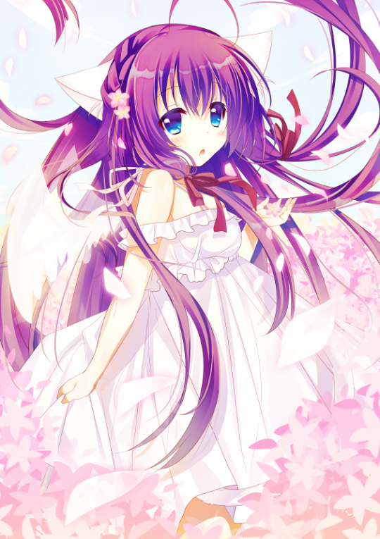 Catling_Bot tweet picture