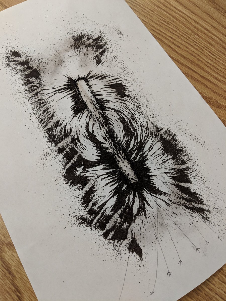 David Rodick tweet media