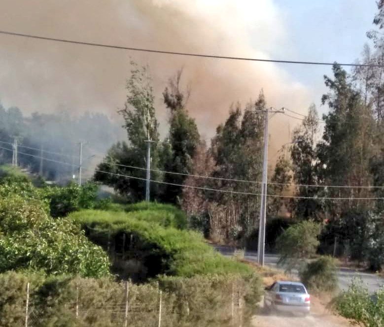 DPPMelipilla's tweet photo. 🔥Ahora! Equipos de emergencia, @CBMelipilla1910, @conaf_minagri, @GMelipilla @munimelipilla despliegan fuerzas en combate de #IF sector #PuertasColoradas, #Puangue. Evento en desarrollo.
#ChileLoCuidamosTodos🇨🇱
#RMdeTodos
@onemichile
@RAMIREZCHILE
@KarlaEnAccion
@IntendenciaRM https://t.co/bb2qZ4TQoS