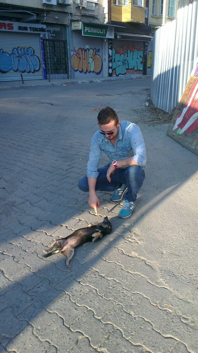 Beni tek sen dinliyorsun...