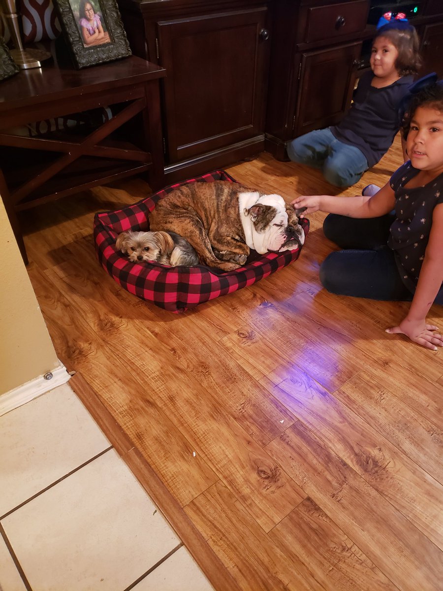 jenpaiz's tweet photo. 5000 points reward from @ihgrewardsclub #HomeWithIHG #RewardsOffer #ad https://t.co/i6Dzkn3Hkf