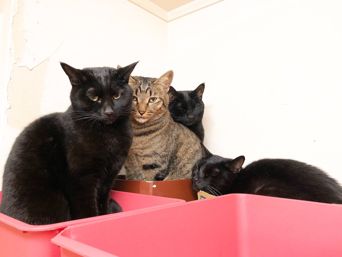 寒くて動きたくない