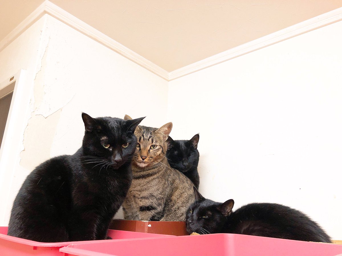 寒くて動きたくない