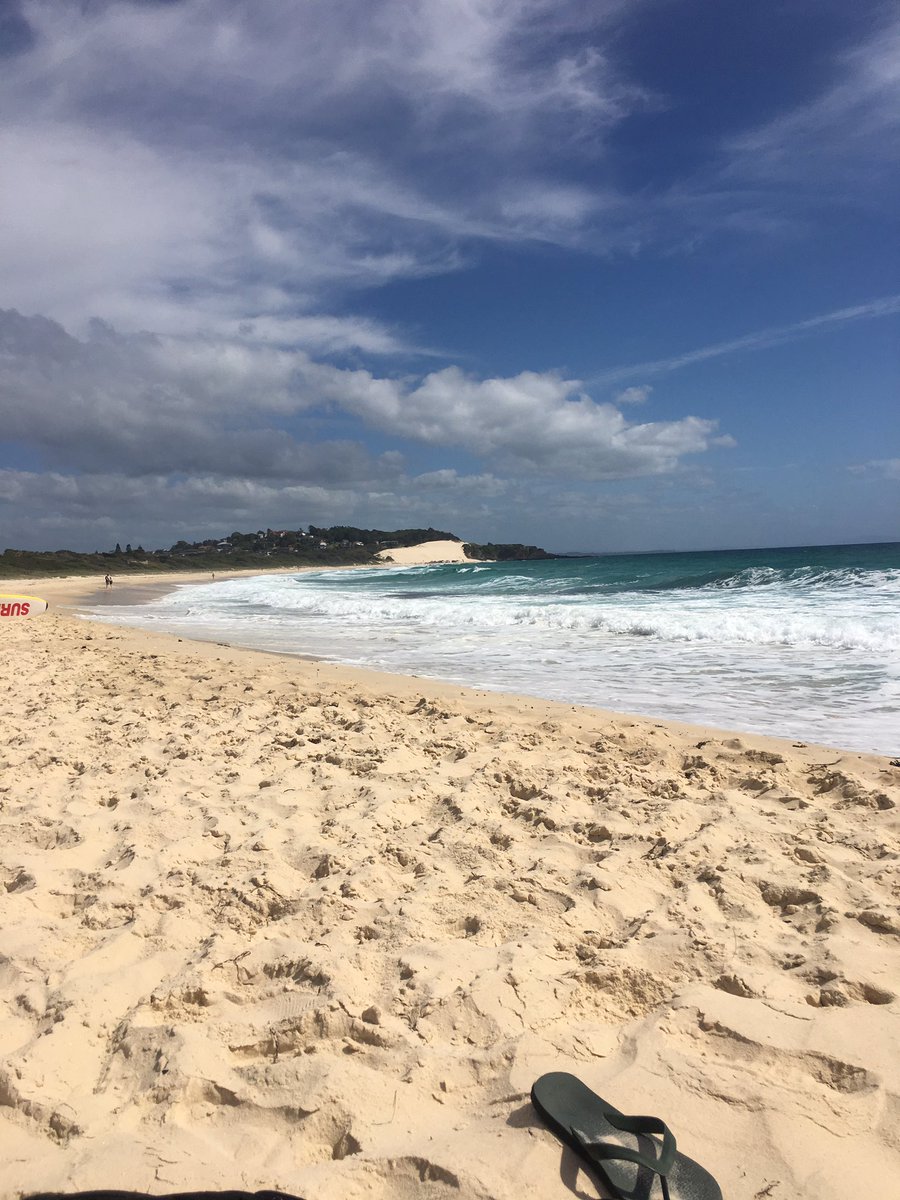 allourmob tweet media