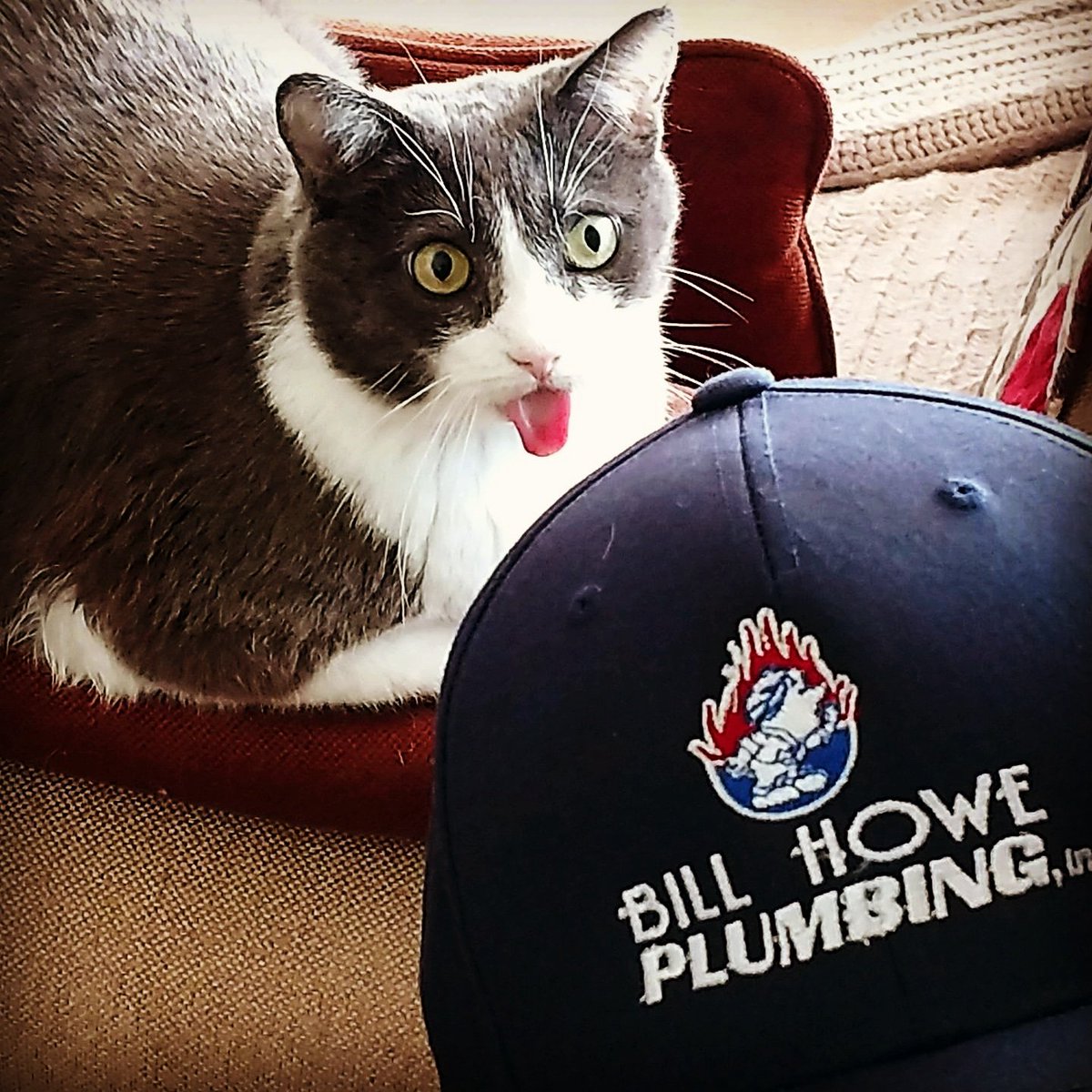 BHowePlumbing's tweet image. Sometimes the best part of the job is making new friends #TechPets #HoweCute #BillHowePets #WeKnowHowe #SanDiego