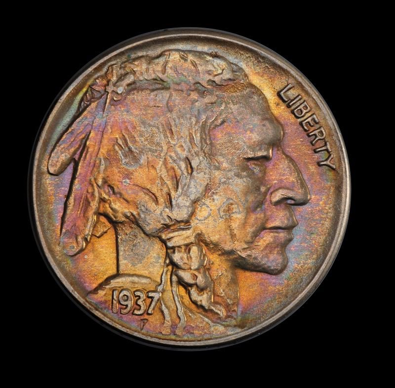 MoneyMuseumCS's tweet photo. 1937 D Buffalo/Indian Head #nickel, 3-legged variety (missing right front leg). One of the most famous #dievarieties in US history, this coin was likely produced due to an overly-polished die. This also caused E PLURIBUS UNUM to appear farther away from the bison's back https://t.co/YzdOqQYoJg