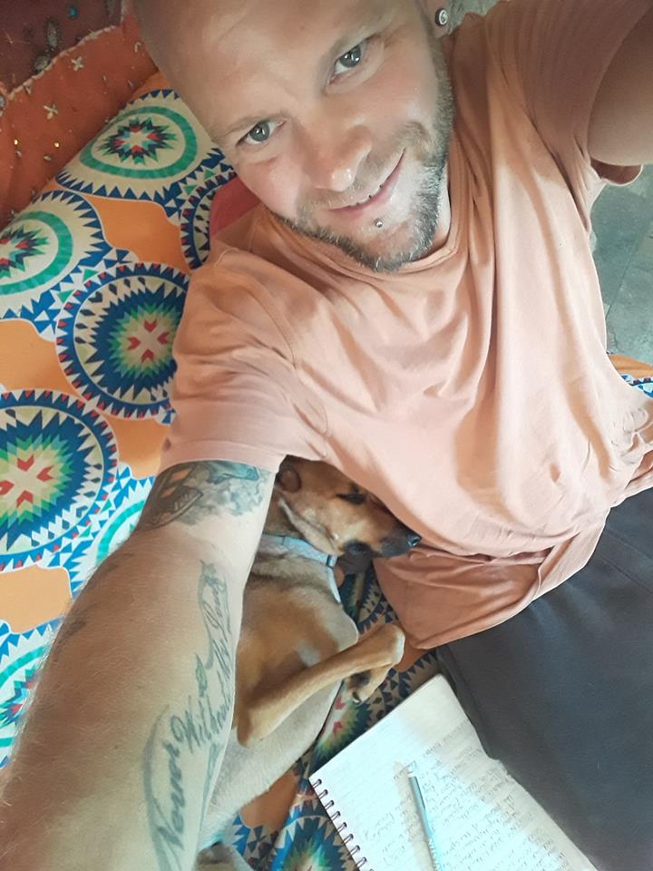 JadenCornelious's tweet photo. OK i have to fess up !!! @Online_Courses i get help with my studies   #FoxyFace  #disabledstreetdog #rescue #AdoptDontShop https://t.co/2RqVpxb3et