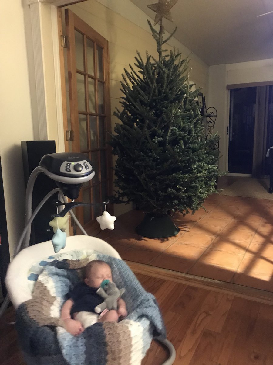TraceyEarly's tweet photo. We got the tree, just been too tired to decorate it. Or put a tree skirt around it. Or water it. Maybe by next Christmas @EvanDonovan #newparents #tired https://t.co/ncz4sLv3ET