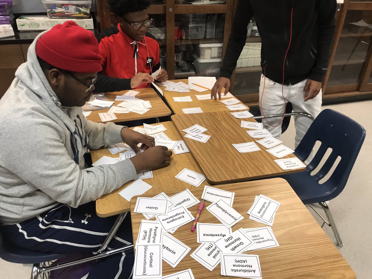 Coach_Dargan's tweet photo. Navigating through the Endocrine System..... yโall got this! #HumanAP #StudentAthletes https://t.co/nyxqw3eQD2