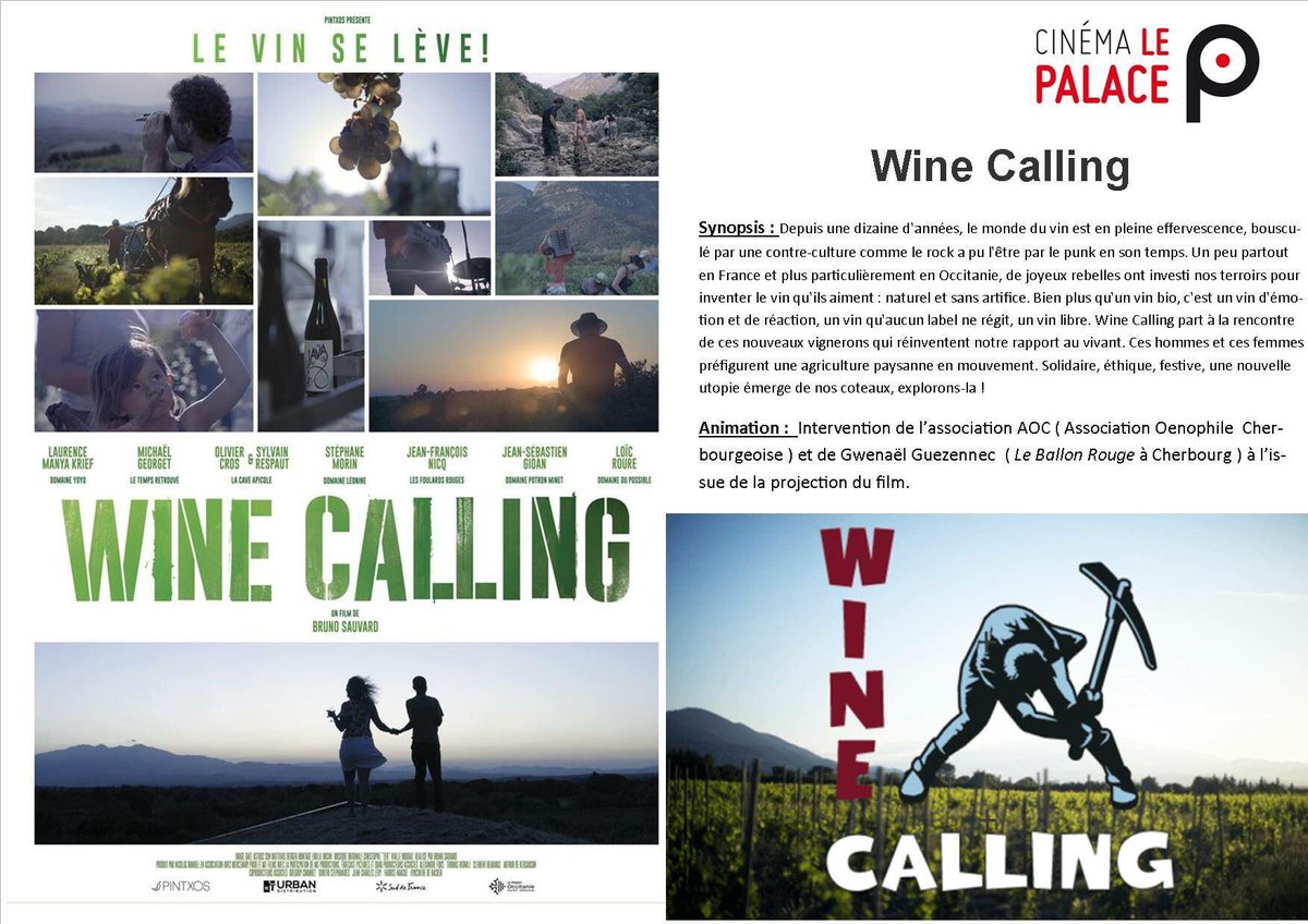 Cinema Le Palace tweet media