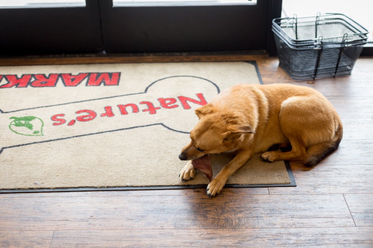 Nature's Pet Market (NaturesPetOR) Twitter