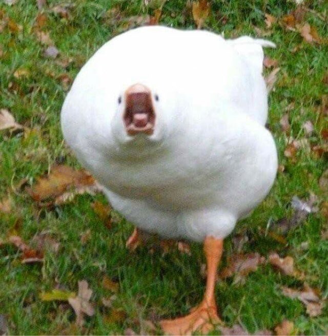 threadsofthrea1's tweet image. 🖤pictures réactions🖤