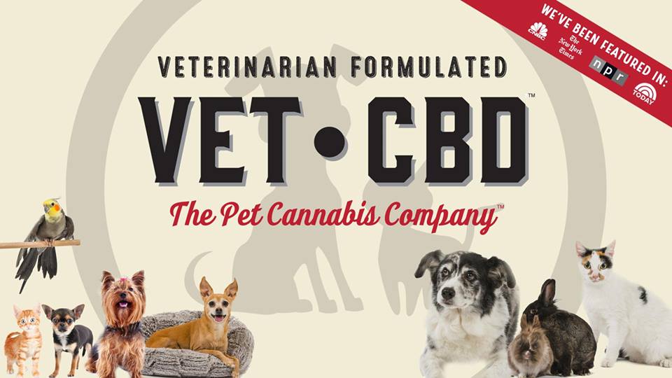 HHCRichmond's tweet image. Come by #HolisticHealingCollective and meet @VETCBD #vetcbd #cbd #cannabiscommunity #bayarea #weedmaps #kushtourist