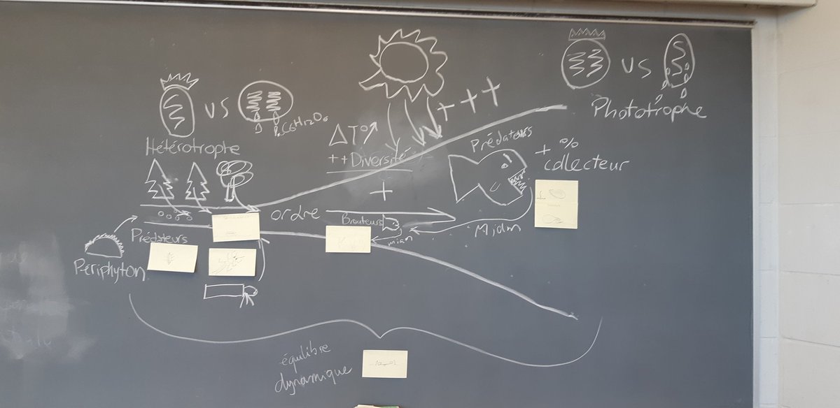 morganbotrel's tweet photo. Today was my last #limnology class @BiologieUdeM and I made students draw the river continuum concept and the flood pulse concept using #visualthinkinglab techniques. Interesting to note that the floodplain was at first very hard to draw, a lot of puddles connected to a channel. https://t.co/Aiihy17CgA