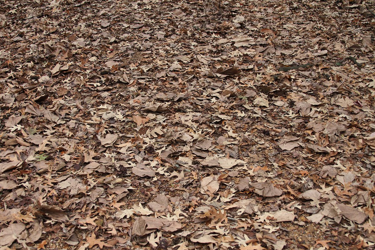 City of Tulsa on Twitter "The City Mulch, 2100 N. 145th E. Ave., site will be closed on