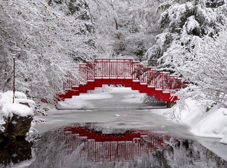 alc_nad's tweet photo. When He builds the bridge, take bold steps, He will be with you.  Happy Sabbath!! #NAD #ALC #Sabbath #TrustHim #bridges. https://t.co/6TYeglYyuK